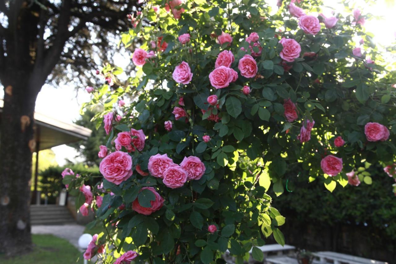 Acquachiara Iseo Deluxe Bed & Breakfast Iseo Center With Garden And Parking Inside Foresteria Exteriör bild